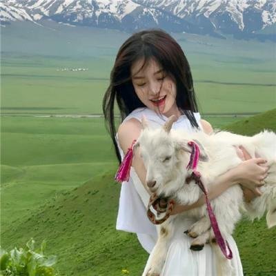 五卢比恩仇录